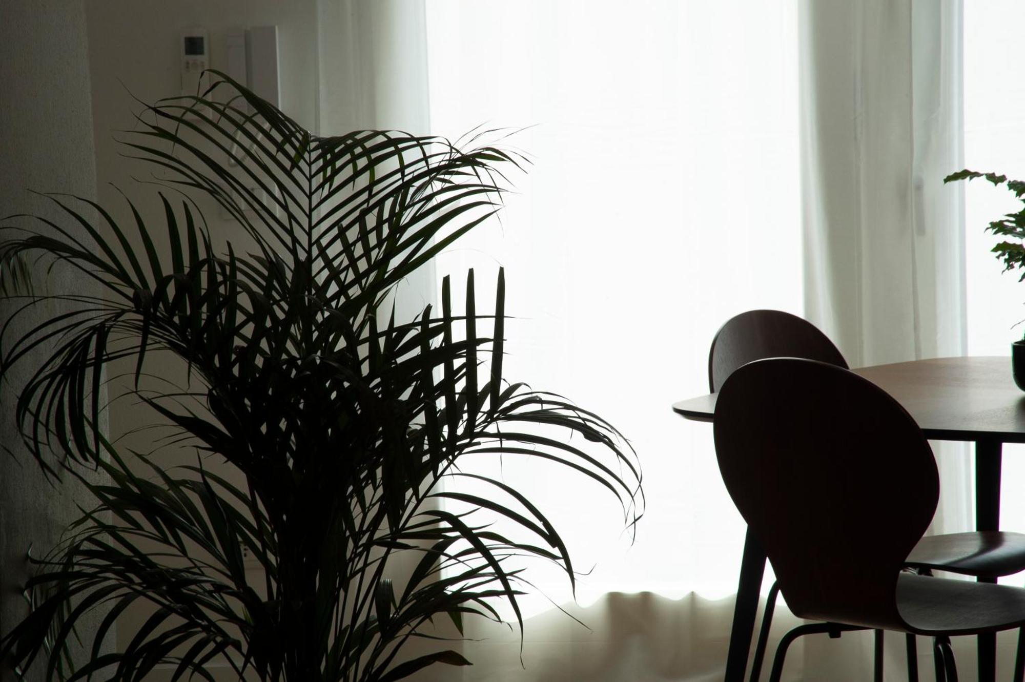 Ca Glera - Vintage Design Apartment Ревине-Лаго Экстерьер фото